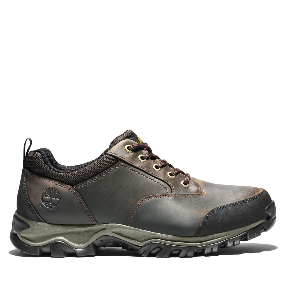 Timberland Mens Hiking Shoes Keele Ridge Waterproof - Brown - India SQ9532817